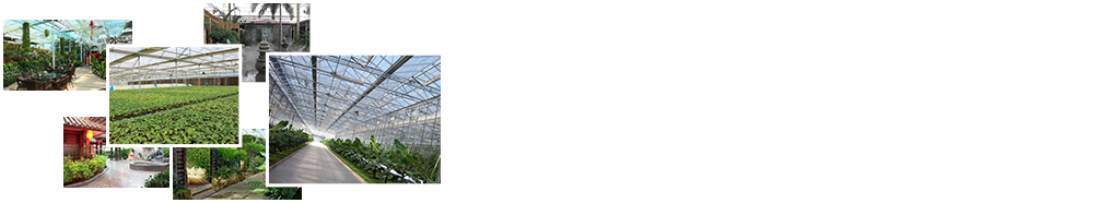 24小時(shí)免費(fèi)咨詢(xún)、免費(fèi)技術(shù)指導(dǎo)