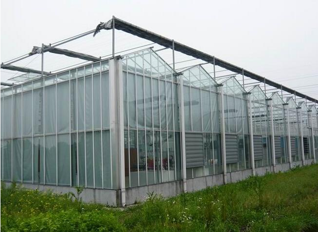 陜西連棟大棚設(shè)計施工