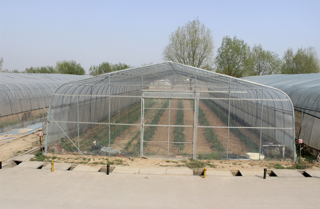 陜西溫室大棚設(shè)計廠家