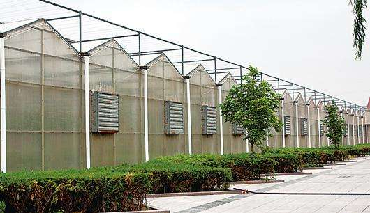 規(guī)模大，質(zhì)量好