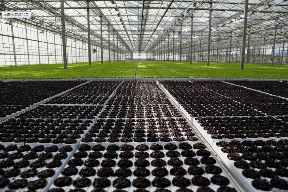 實(shí)力雄厚，品質(zhì)保證！