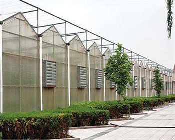 規(guī)模大，質(zhì)量好