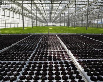 實(shí)力雄厚，品質(zhì)保證！