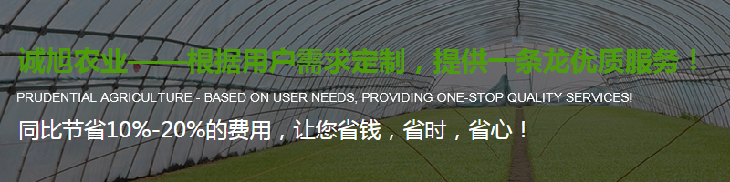 陜西溫室大棚設(shè)計安裝