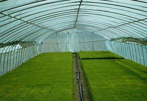 陜西溫室大棚價格